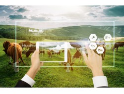 首页-PT视讯厅真人官方网站