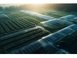 首页-PT视讯厅真人官方网站